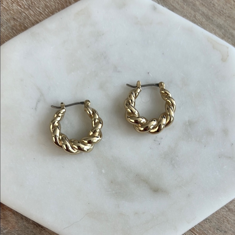 Ana Luisa twisted hoop earrings